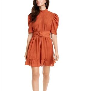 NWT Leyden dress